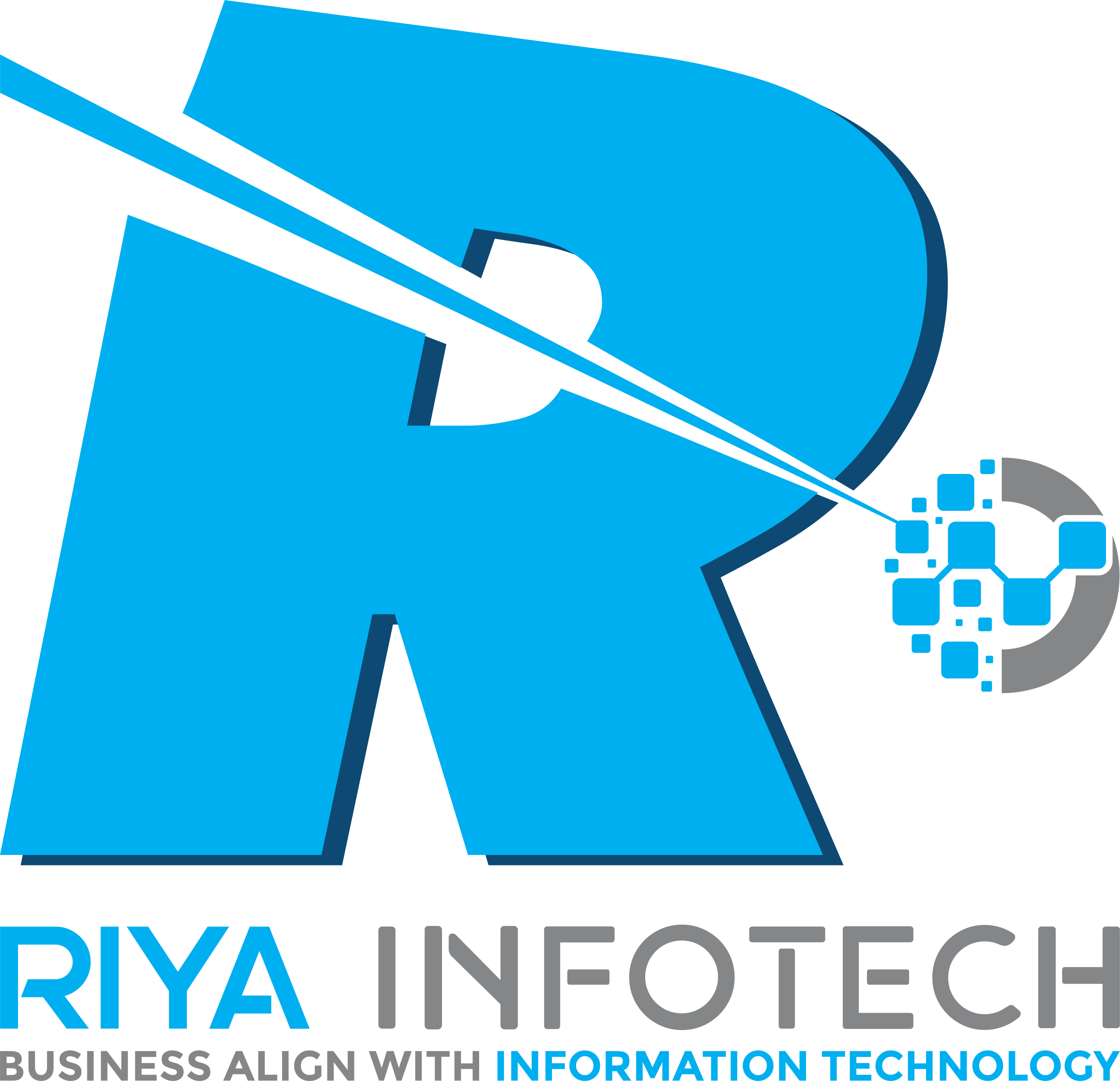riya infotech